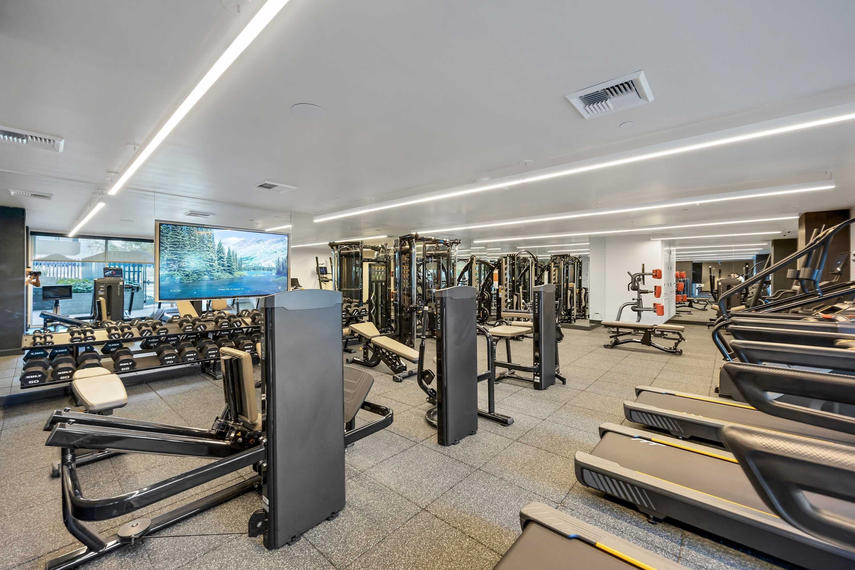 A gym with treadmills, weight machines, and dumbbells.