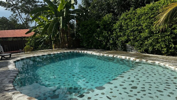 Ein rechteckiger Pool mit Beckenrand aus Kies, umgeben von einer Steindeck und üppiger Bepflanzung.