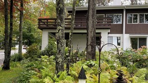 Una casa moderna de dos pisos rodeada de un jardín exuberante con helechos y árboles.