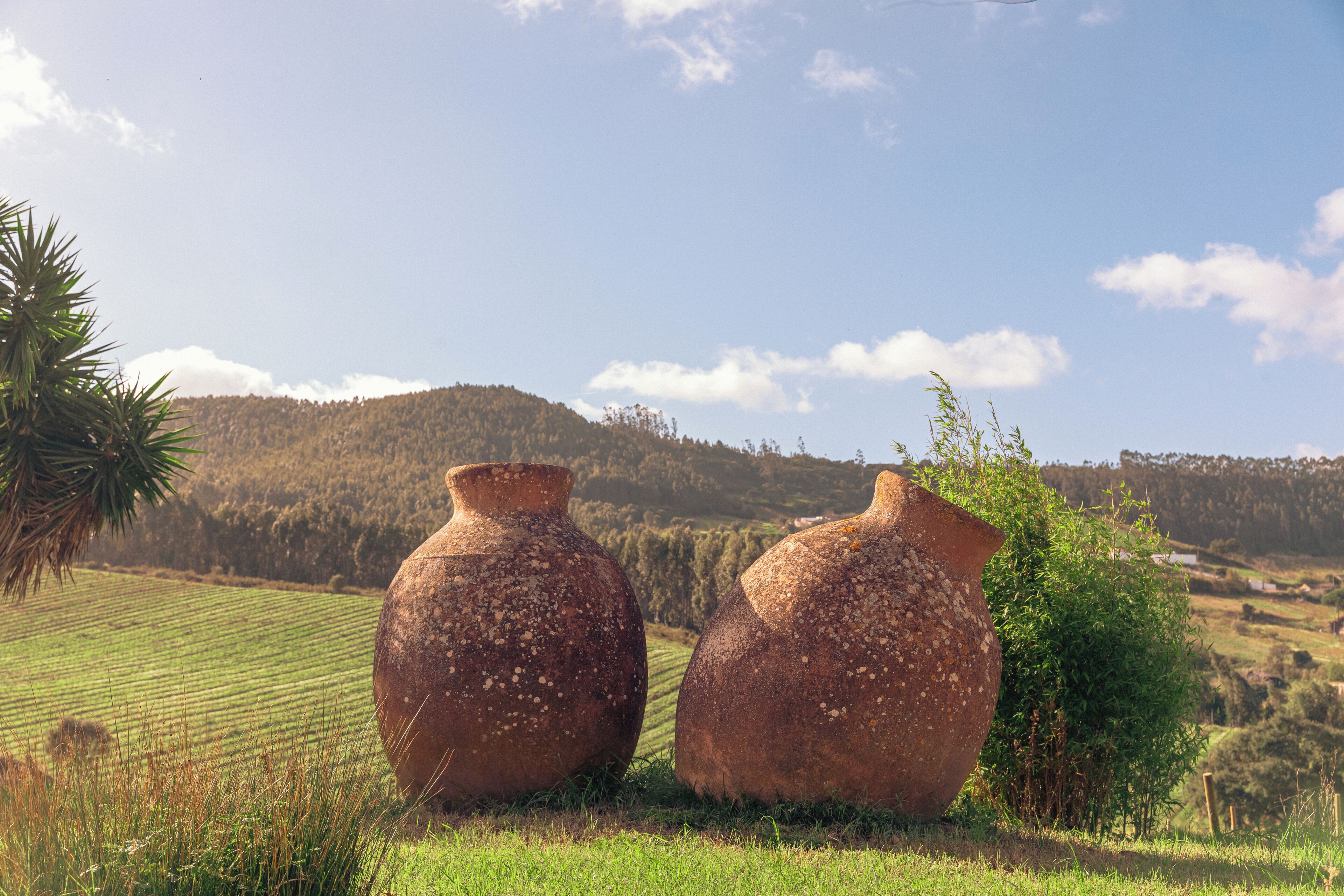 Two large clay pots in a grassy field with a hilly landscape in the background.