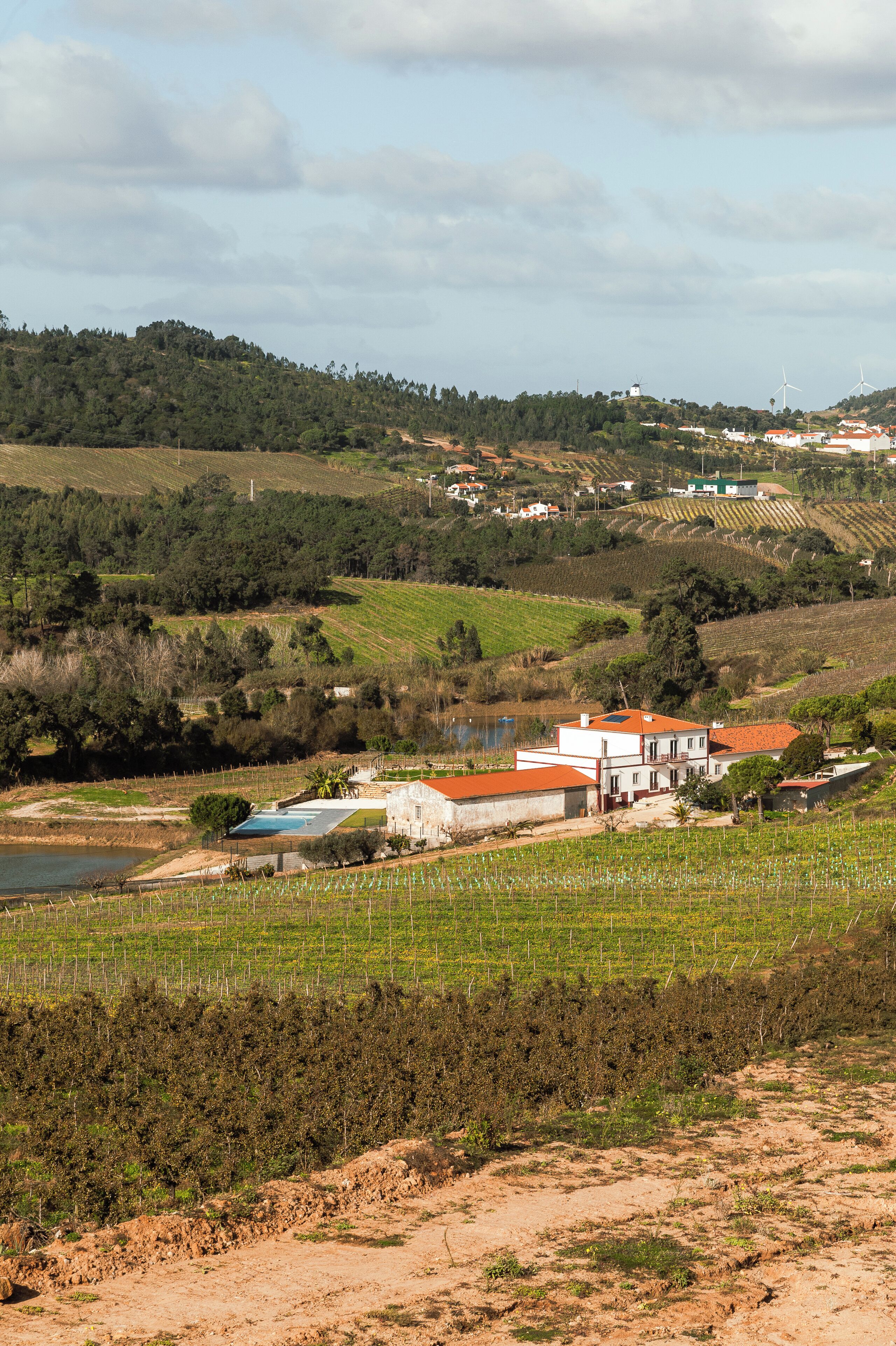 Paisaje rural con un edificio de techo rojo y paredes blancas, rodeado de viñedos y un pequeño cuerpo de agua.