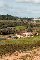 Paisaje rural con un edificio de techo rojo y paredes blancas, rodeado de viñedos y un pequeño cuerpo de agua.