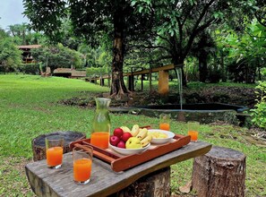 Una preparación para picnic con una bandeja de frutas y vasos de jugo sobre una mesa de madera en un jardín exuberante.