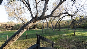 A park with a wooden bench, a grassy area, and trees. - Cozy cabin on the Creek with WiFi and AC in delightful Belton (Belton)