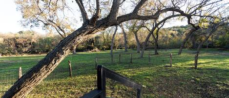 Un parque con un banco de madera, césped y árboles.