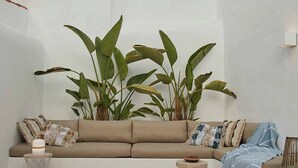 A modern living room with a beige sofa, a small round table, and a potted plant arrangement.