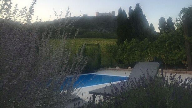 Une piscine entourée de chaises longues, bordée de plantes de lavande et offrant une vue sur une colline parsemée d’arbres et de bâtiments.