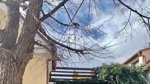 Un VUS noir est garé dans une allée, avec un arbre et un arbuste en arrière-plan.
