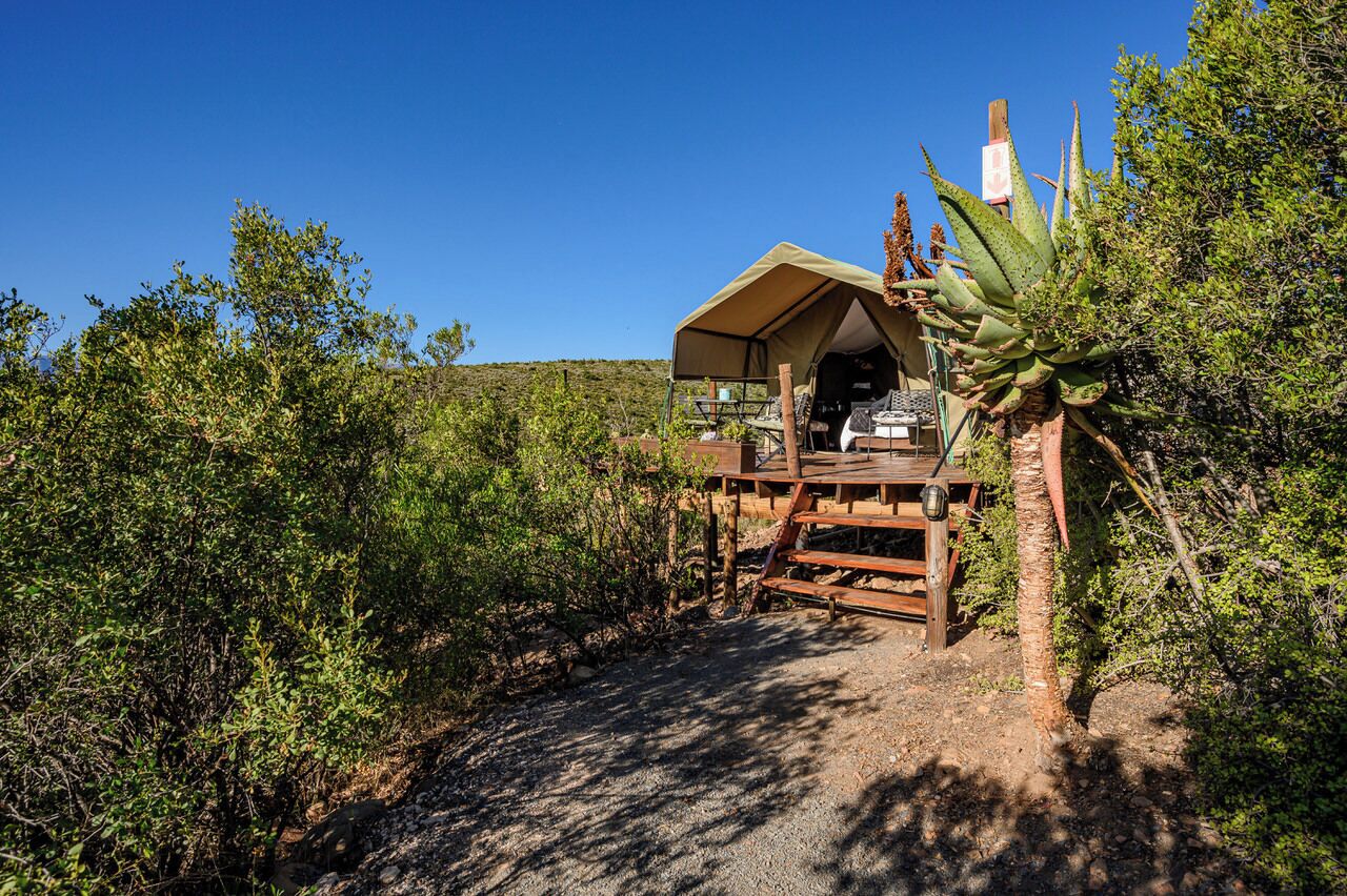 A rustic wooden structure with a covered porch, surrounded by dense greenery and a clear blue sky.