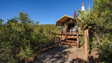 A rustic wooden structure with a covered porch, surrounded by dense greenery and a clear blue sky.