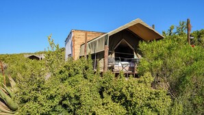 A rustic cabin with a pitched roof and a wooden exterior, surrounded by dense greenery.