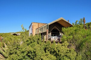 Luxury Tent, Mountain View | Terrace/patio