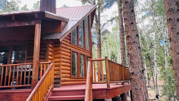 Una cabaña de troncos con escalera de madera y terraza, rodeada de árboles altos.