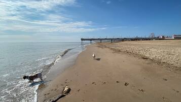 Playa en los alrededores