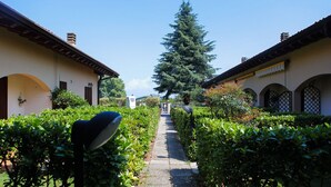 Un sendero bordeado por abundante vegetación y arquitectura tradicional, que conduce a un árbol central.