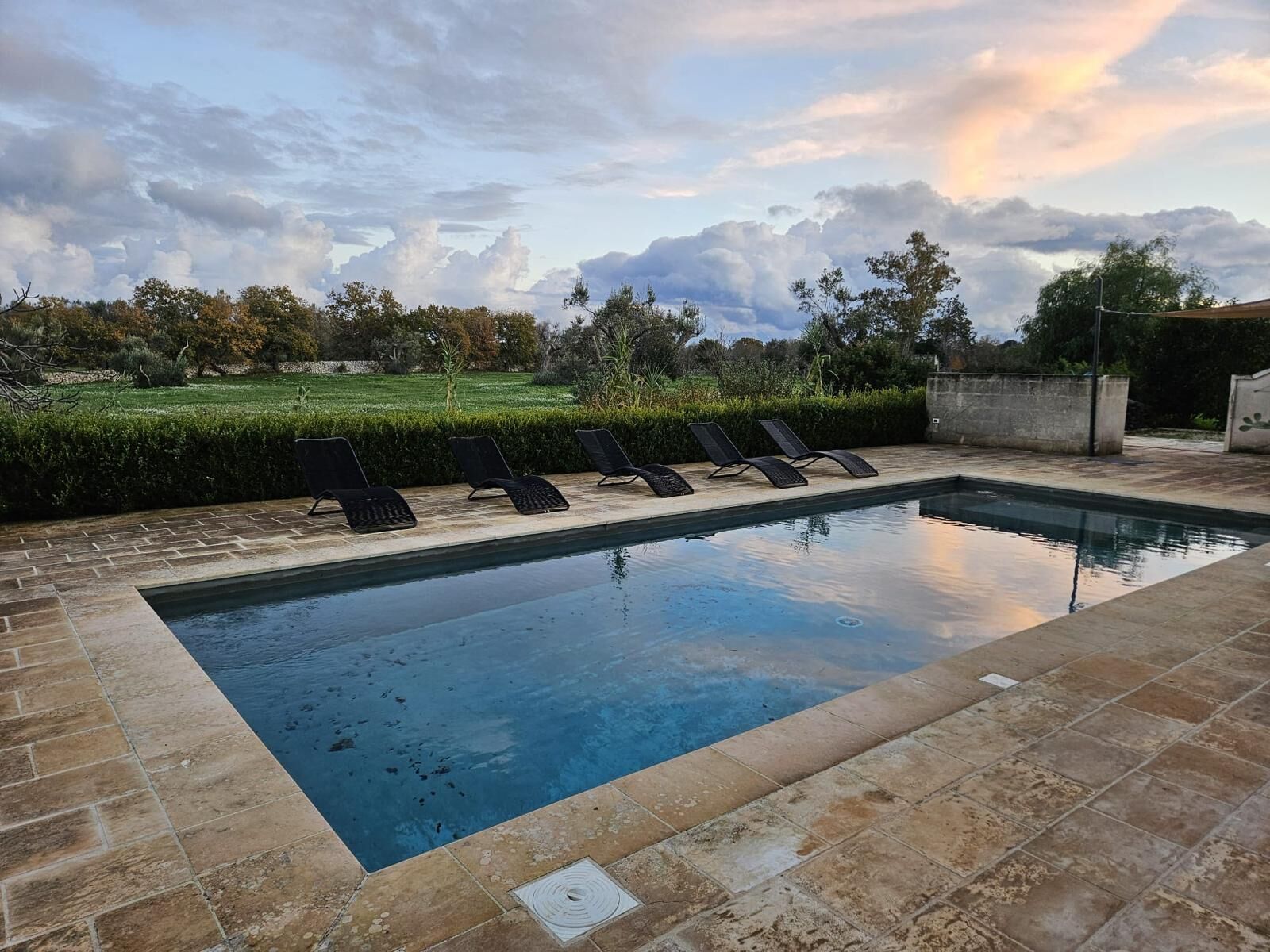 A rectangular swimming pool with a tiled border, surrounded by a landscaped garden with a lawn and trees.