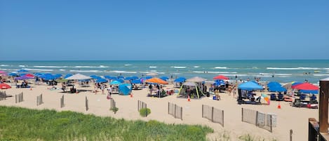 Nära stranden