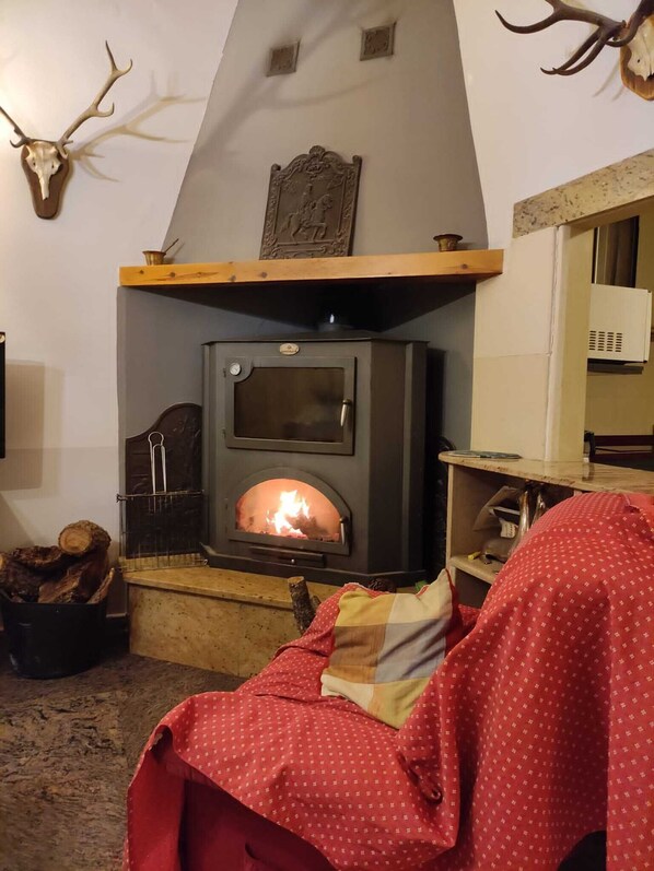 Interior - REST, HEALTHY AIR AND GOOD BARBECUES (Ontalvilla de Almazán)