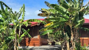 A wooden building with a red roof, surrounded by banana trees. - Ecolodge Anacardier- Bungalow Deluxe 1 (Saint-Francois)