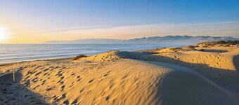Steps to Beach w/ Patio+deck Foosball Happy Bottom Beach House by Avantstay