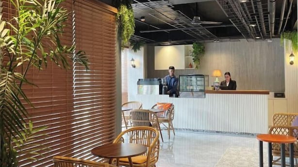 Un interior moderno con un mostrador de recepción, sillas de madera y plantas en macetas.