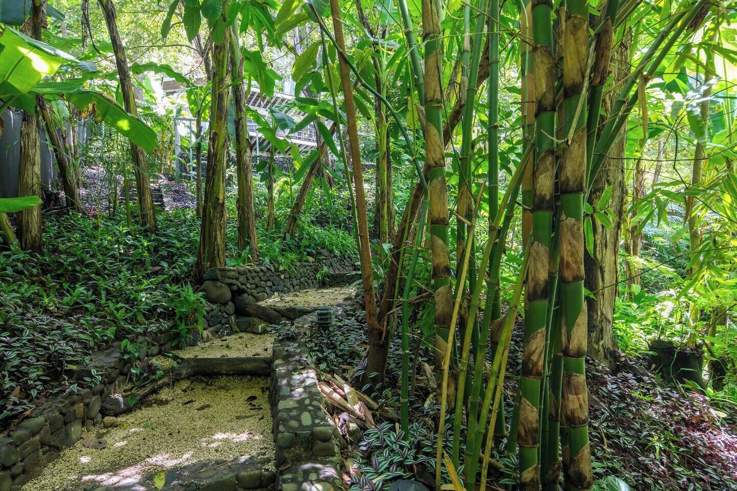 Jardines del alojamiento