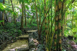 المنطقة المحيطة بالمنشأة