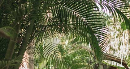 Low Tide Bungalow - Walking distance to the Surf