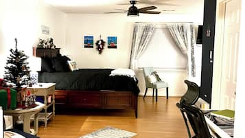 1 quarto, escrivaninha, ferros/tábuas de passar roupa, Wi-Fi de cortesia