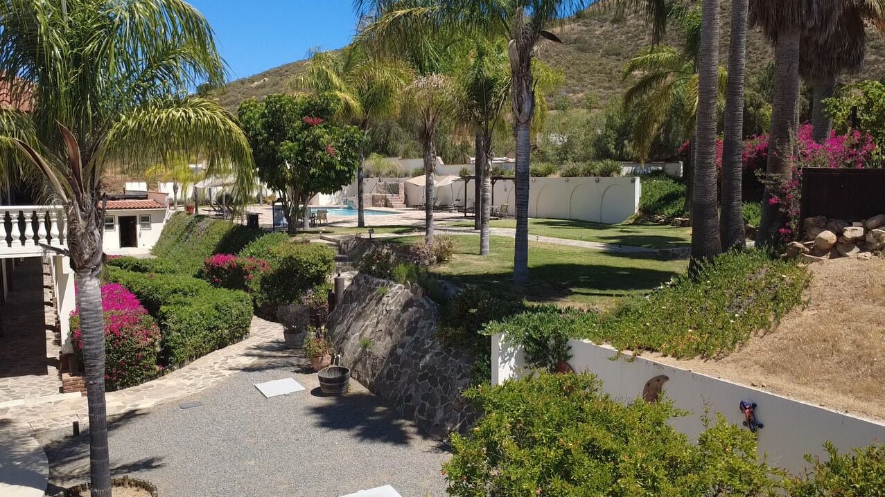 A residential area with a swimming pool, palm trees, and a stone wall.