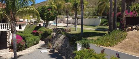 A residential area with a swimming pool, palm trees, and a stone wall.