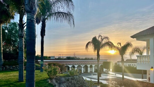 Un patio con palmeras, un muro de piedra y un edificio con arcos.