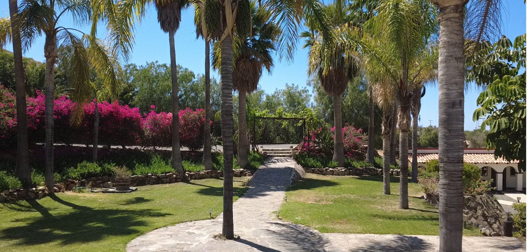 A pathway leading to a building with a stone wall, surrounded by palm trees and pink flowering bushes.