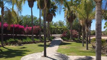 A pathway leading to a building with a stone wall, surrounded by palm trees and pink flowering bushes.