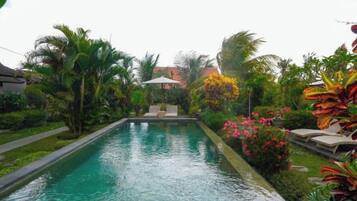 A swimming pool surrounded by lush greenery and a white umbrella.