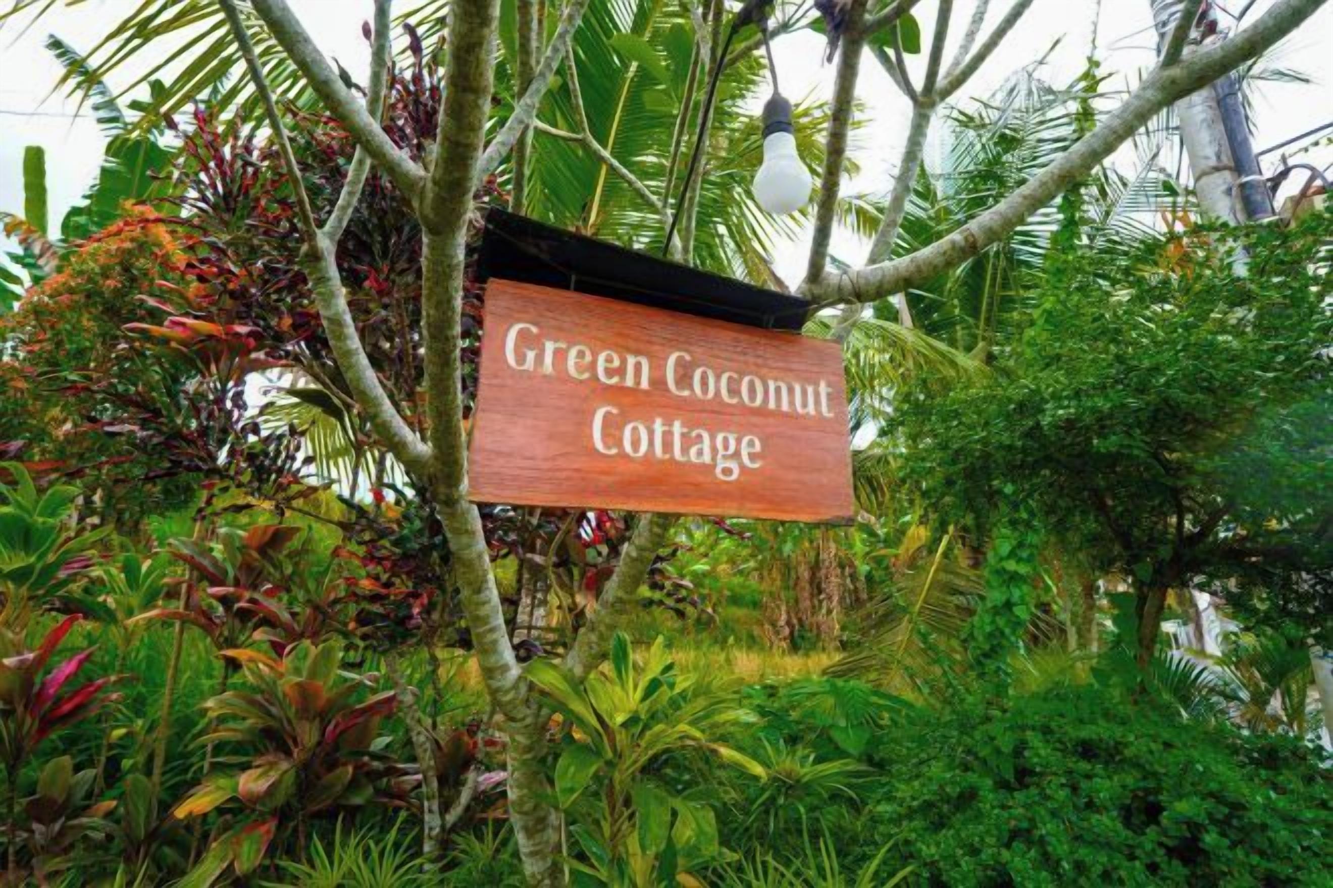 A wooden sign with the text 'Green Coconut Cottage' amidst lush tropical vegetation.