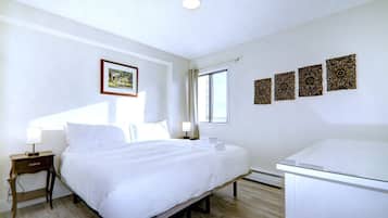 2 bedrooms, iron/ironing board, free WiFi, bed sheets