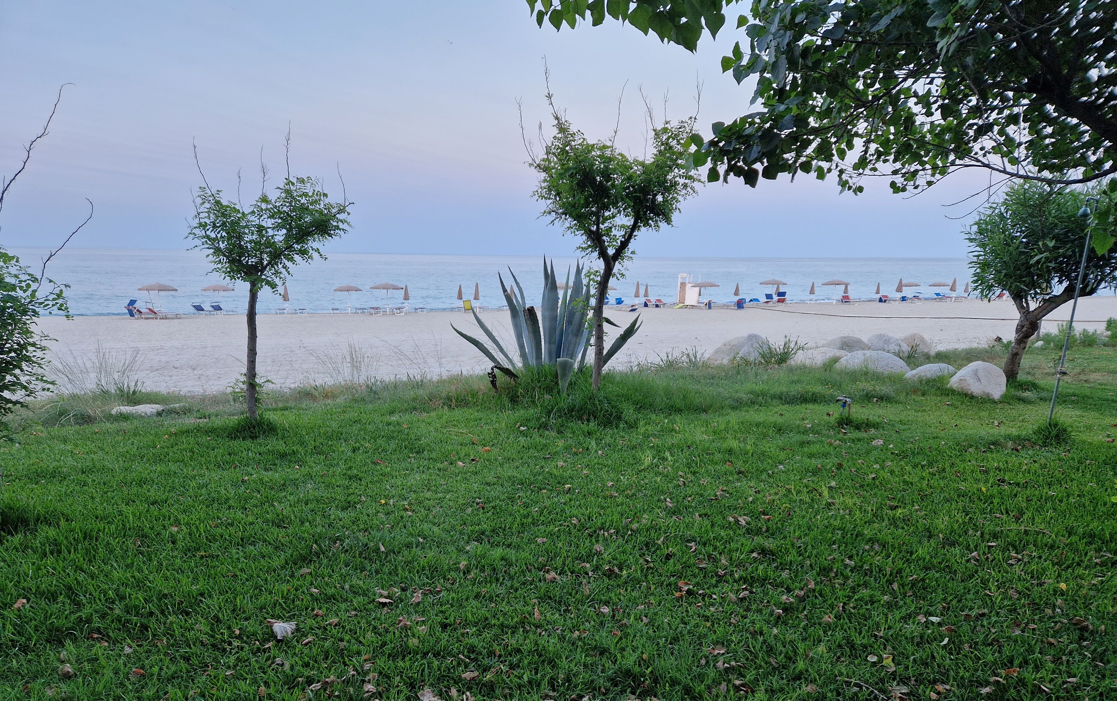 Ein Strand mit einer grasbewachsenen Uferböschung, einigen Bäumen und einer Reihe von Liegestühlen und Sonnenschirmen.