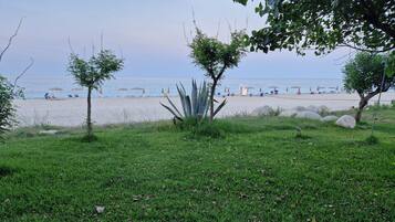 Ein Strand mit einer grasbewachsenen Uferböschung, einigen Bäumen und einer Reihe von Liegestühlen und Sonnenschirmen.