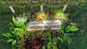 A wall decorated with various plants and a sign that reads 'good times & crazy friends AMAZING MEMORIES'. - Yussy Homestay at Afamosa Villa (Alor Gajah)