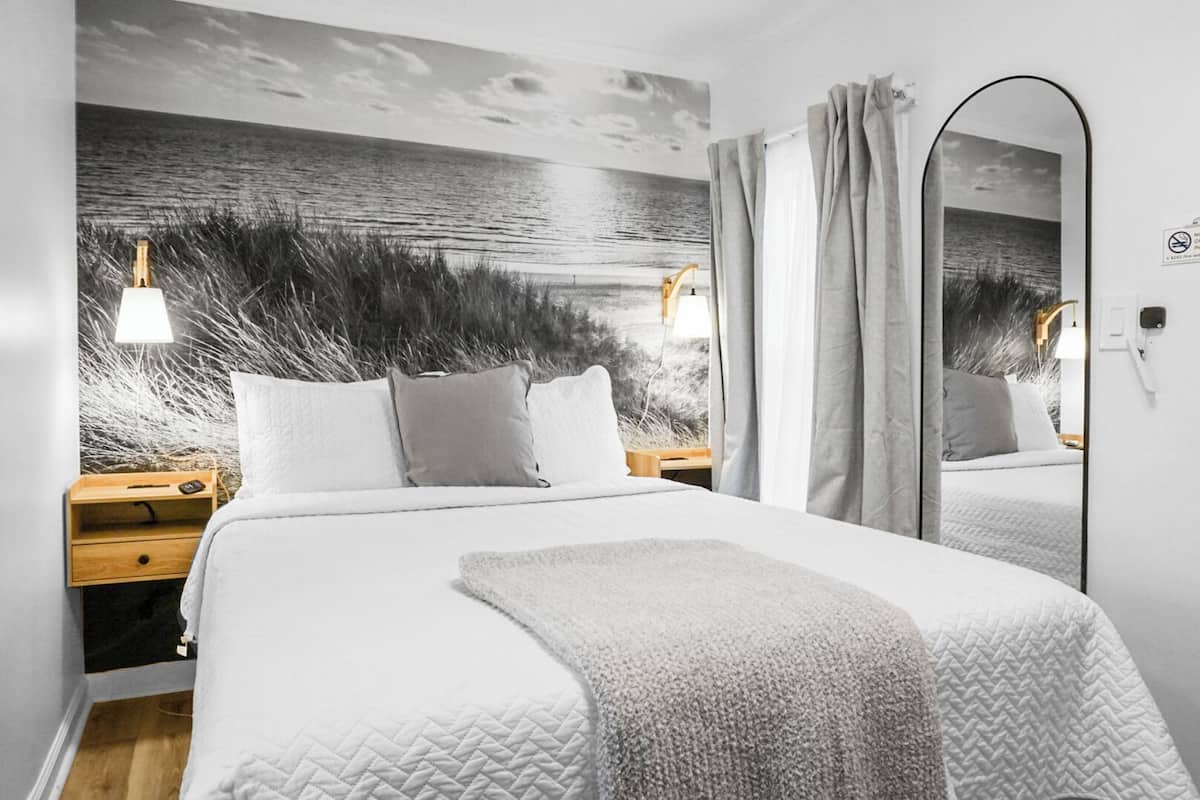 Habitación individual económica | Wifi gratis y ropa de cama
