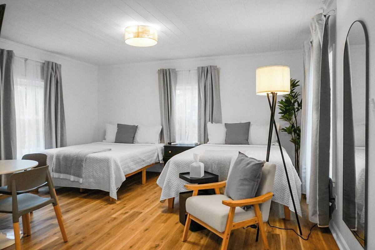 A hotel room with two single beds, a desk with a chair, a bedside table with a lamp, and a potted plant.