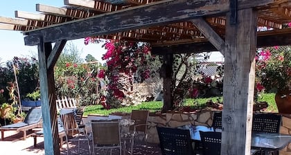 La Luciérnaga de Chiclana