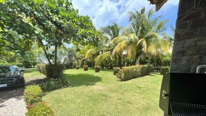 A well-maintained garden with various plants and a barbecue grill.