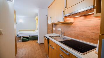 Fridge, microwave, stovetop, dishwasher