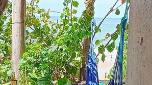 Uitzicht op een strand door een houten constructie, met een hangmat en weelderige begroeiing.