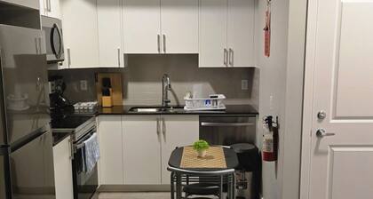 Cozy two bedroom basement unit