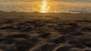 Ein Strand mit Sonnenuntergang über dem Wasser.