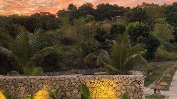 A stone wall with plants in front of a lush green landscape during sunset.