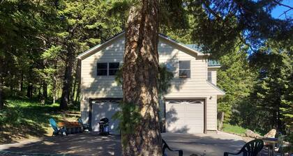 AMAZING CABIN IN THE WOODS!!! 70 acres Bordering National Forest to S & W.